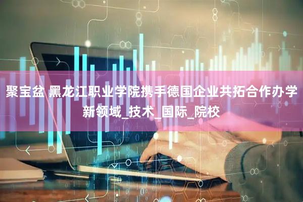 聚宝盆 黑龙江职业学院携手德国企业共拓合作办学新领域_技术_国际_院校