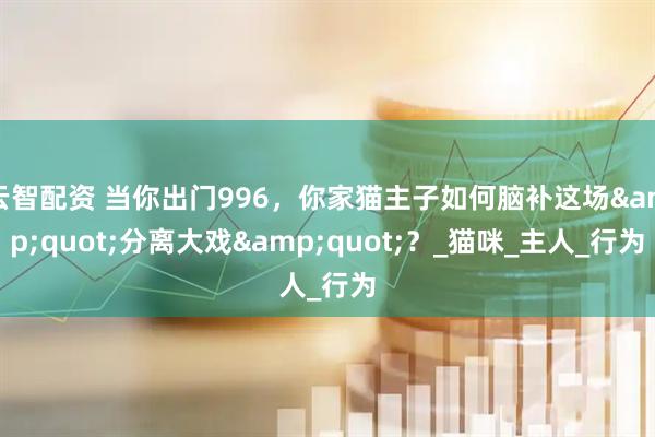 云智配资 当你出门996，你家猫主子如何脑补这场&quot;分离大戏&quot;？_猫咪_主人_行为