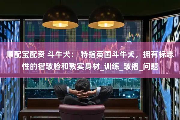 顺配宝配资 斗牛犬： 特指英国斗牛犬，拥有标志性的褶皱脸和敦实身材_训练_皱褶_问题