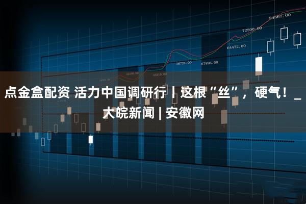 点金盒配资 活力中国调研行丨这根“丝”，硬气！_大皖新闻 | 安徽网