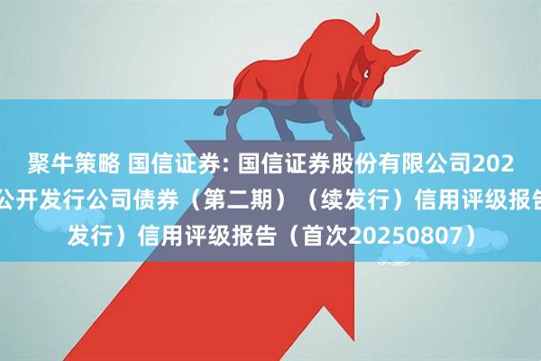 聚牛策略 国信证券: 国信证券股份有限公司2025年面向专业投资者公开发行公司债券（第二期）（续发行）信用评级报告（首次20250807）